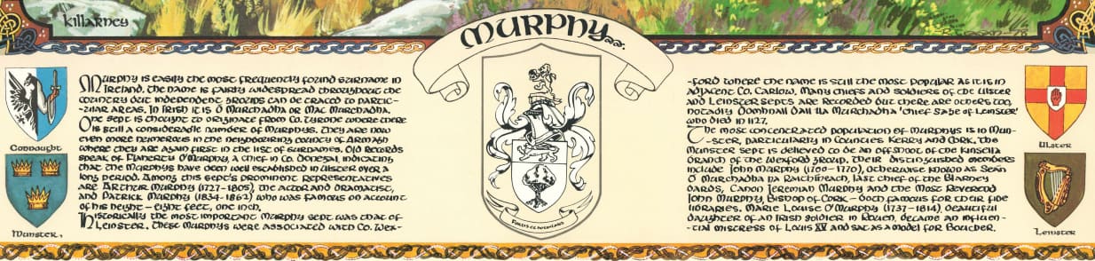 Irish Family Crests: Top Ten Common Irish Coat of Arms