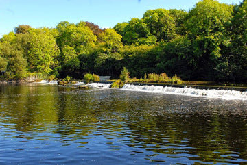 County Roscommon Ireland