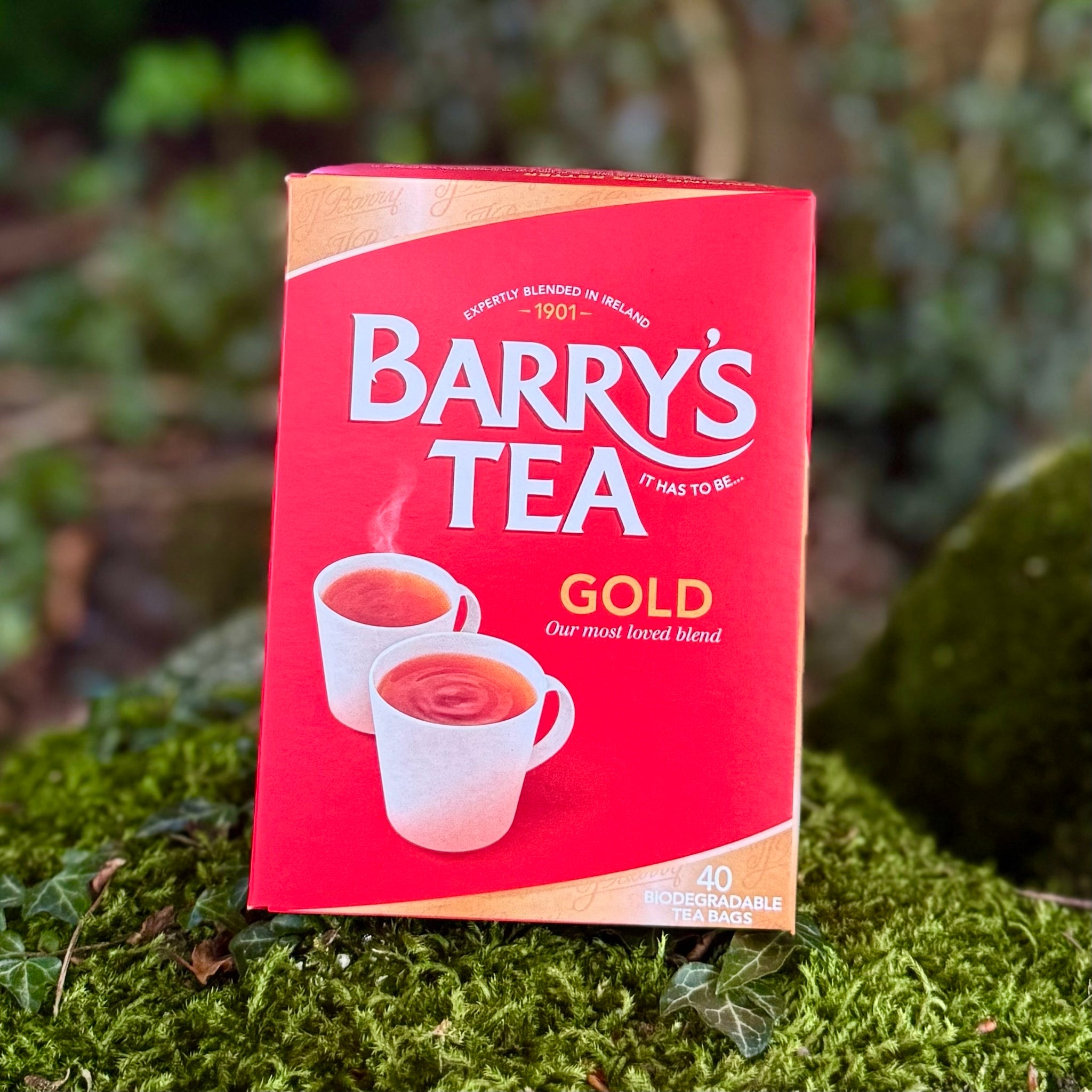 Barrys Tea 40 Pack