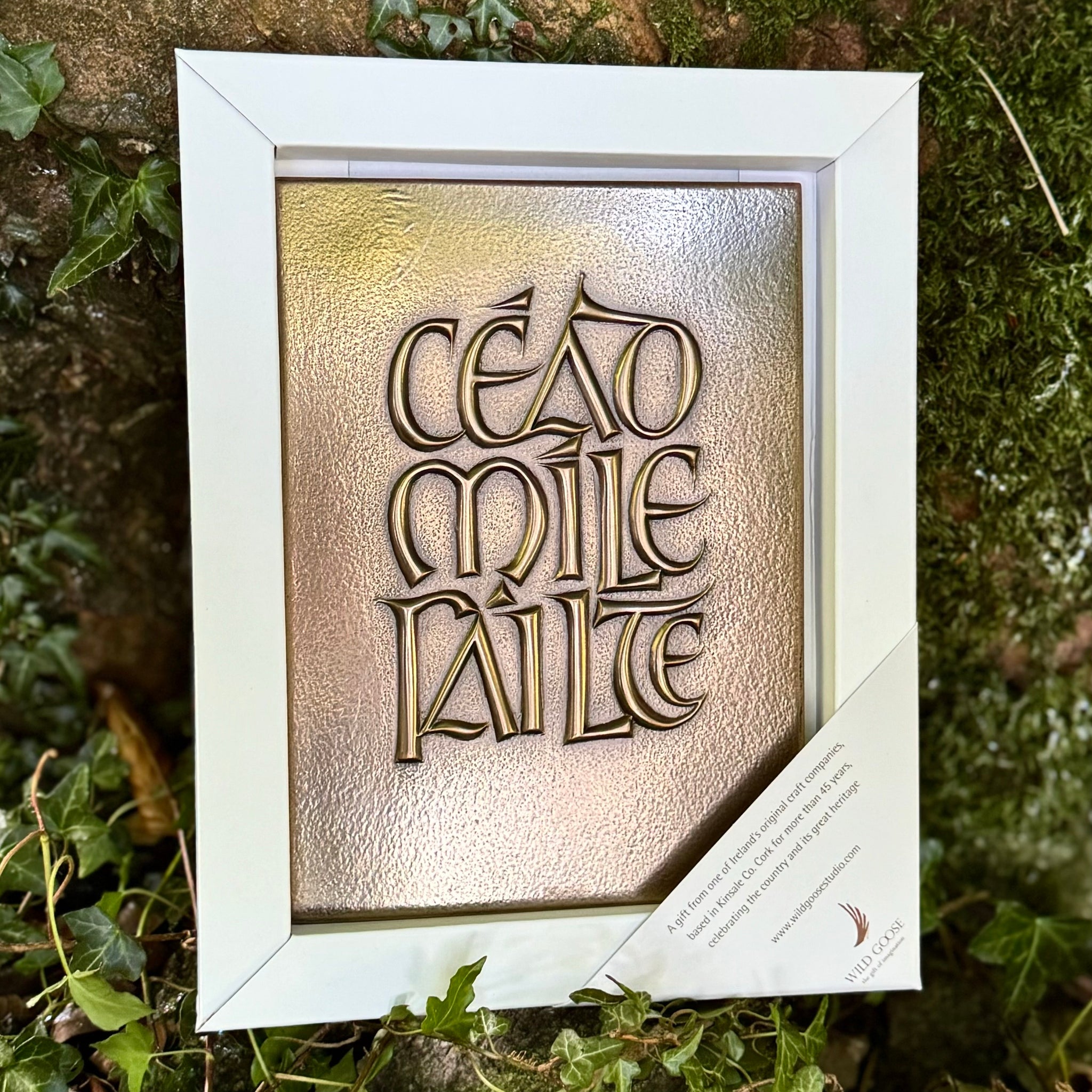 Céad Míle Fáilte Gaelic Bronze Plaque