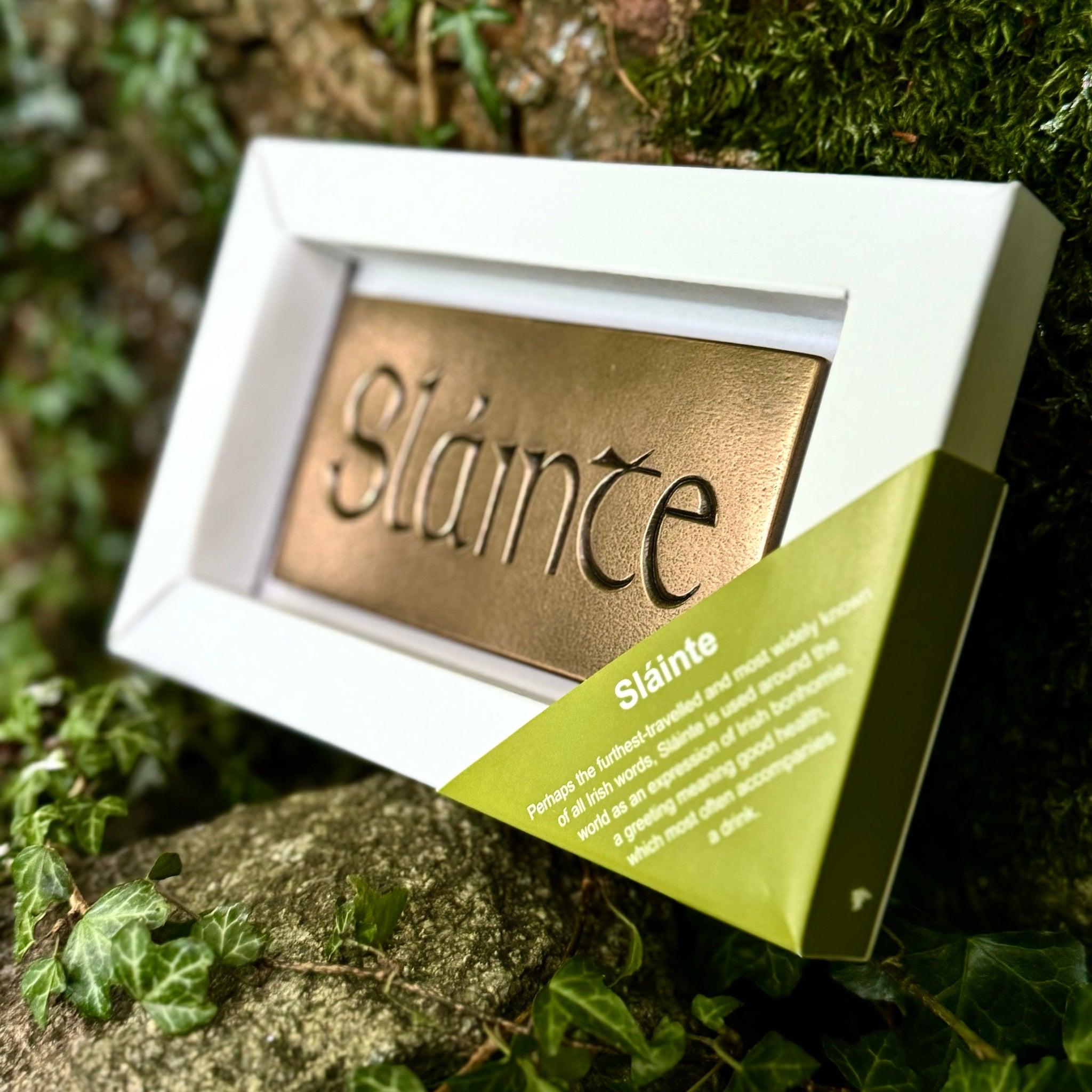 Bronze "Sláinte" (Health) Wall Plaque