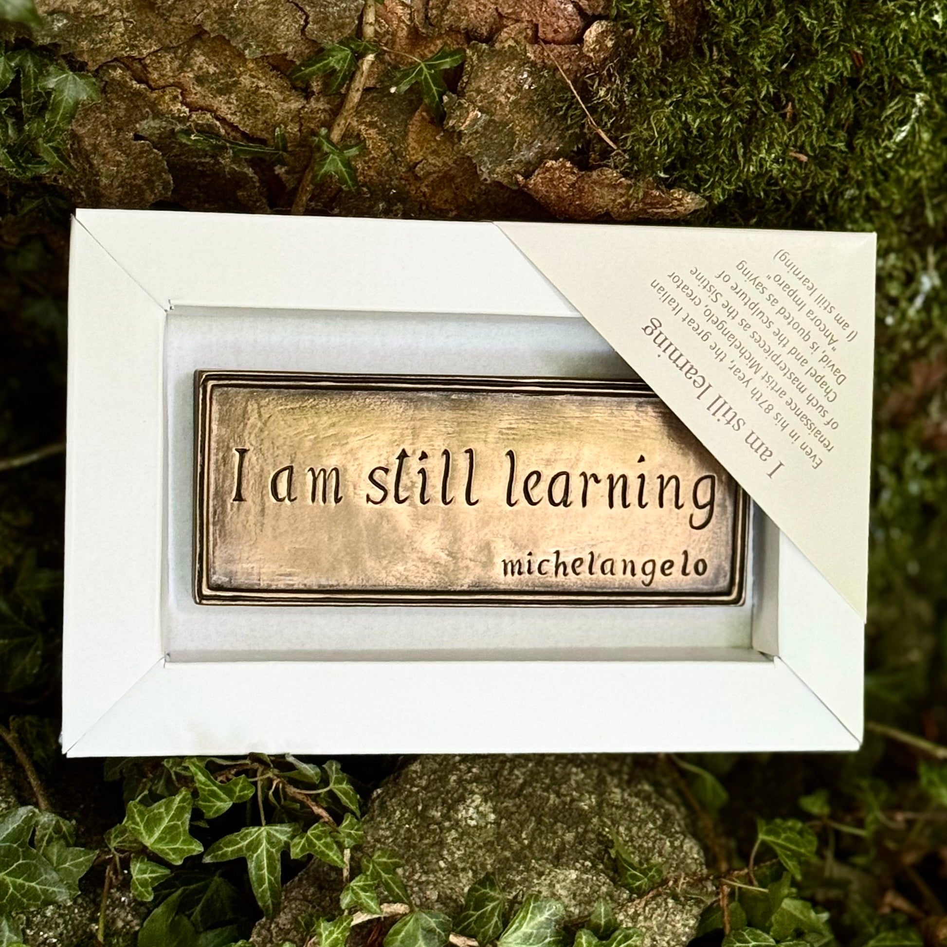 I am still learning Wall Plaque