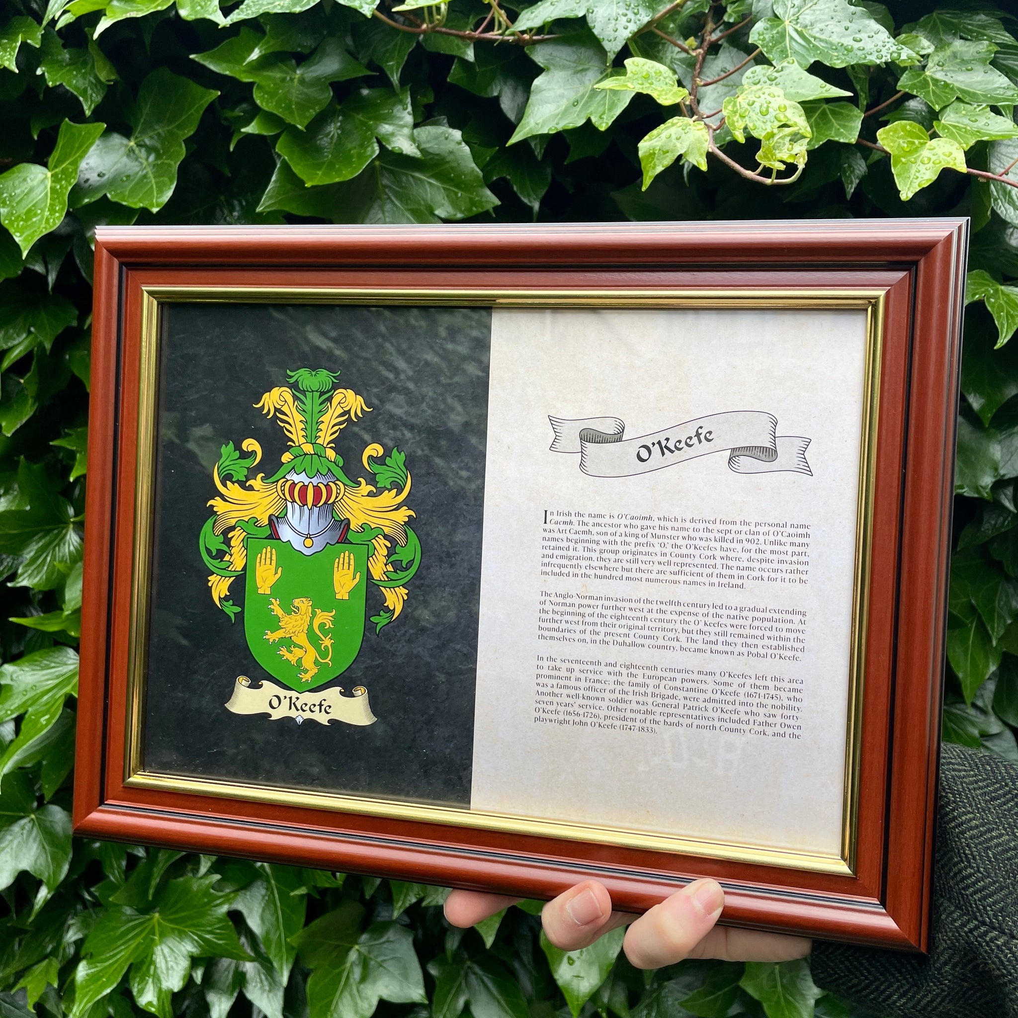 Framed Family Coat Of Arms and Family History