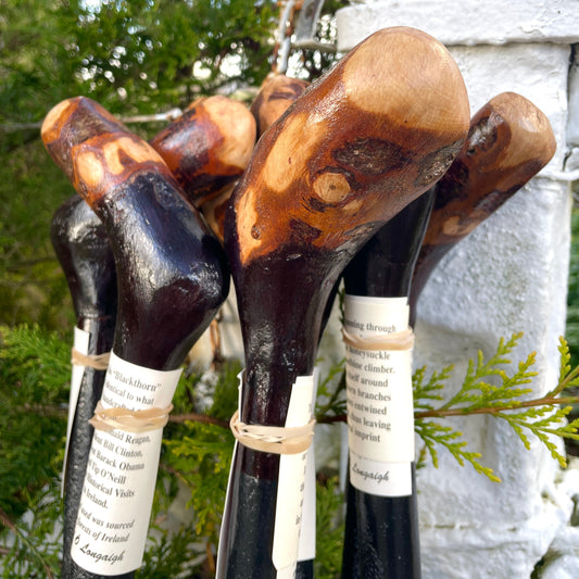 Blackthorn Irish Walking Stick