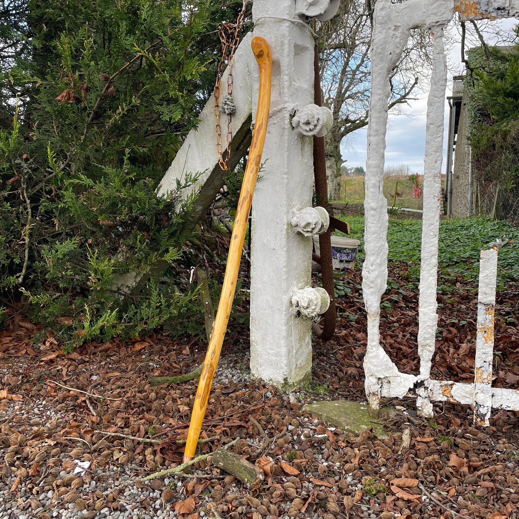 Irish Shillelagh Walking stick