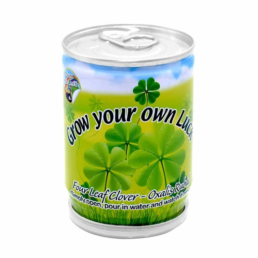 St. Patricks's Grow Your Own Luck Plant Kit